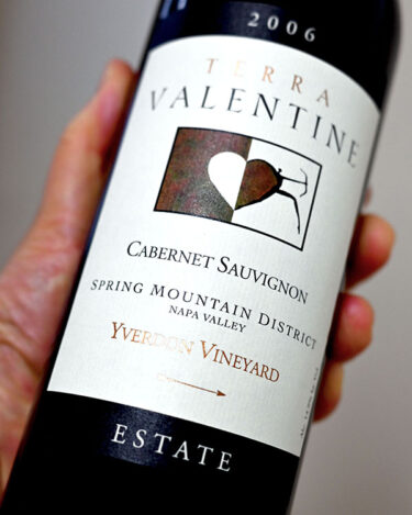 テラ・ヴァレンタインとハートの行き先