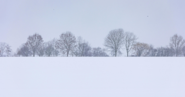 白い夜に、時間を飲む雪の日に観たい映画 × 熟成ナチュラルワイン｜第1話